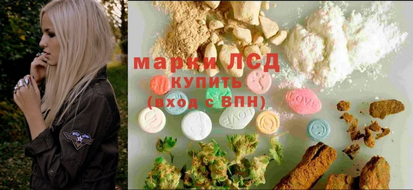 прущие грибы Нея