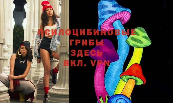 меф Нефтегорск