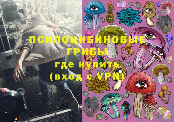 прущие грибы Нея