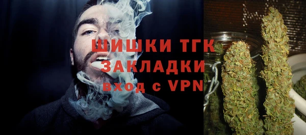 прущие грибы Нея