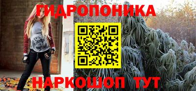 индика Бийск