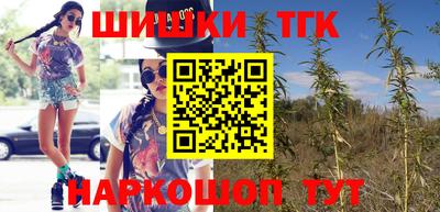 индика Бийск