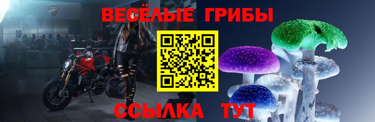 цены наркотик  Кстово  Галлюциногенные грибы Psilocybe 